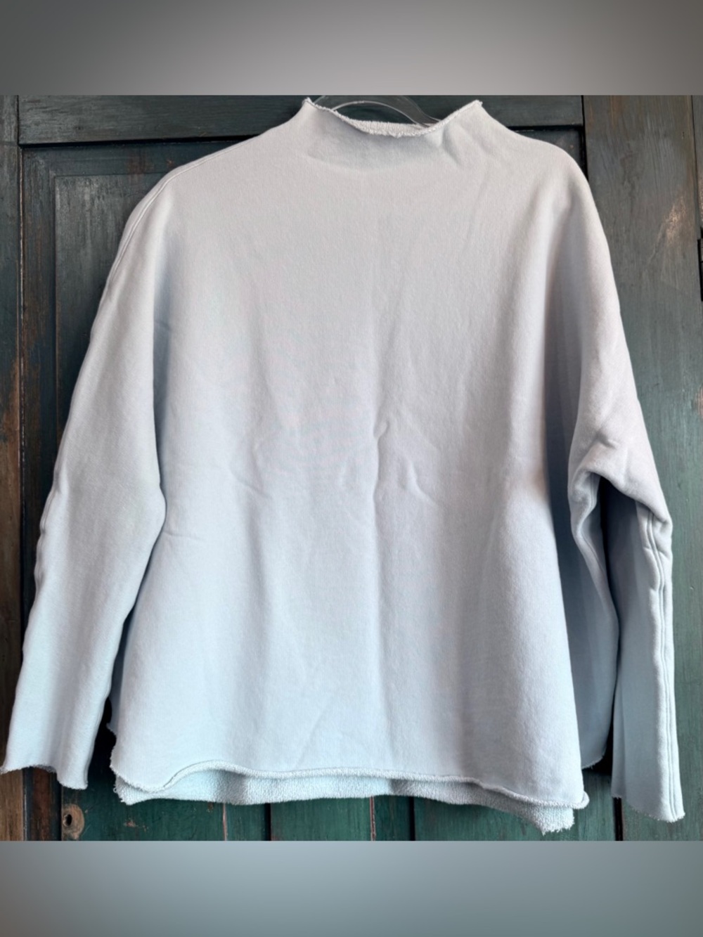 NWOT Frank and Eileen M Shirting Light Blue Triple Fleece Anna never worn